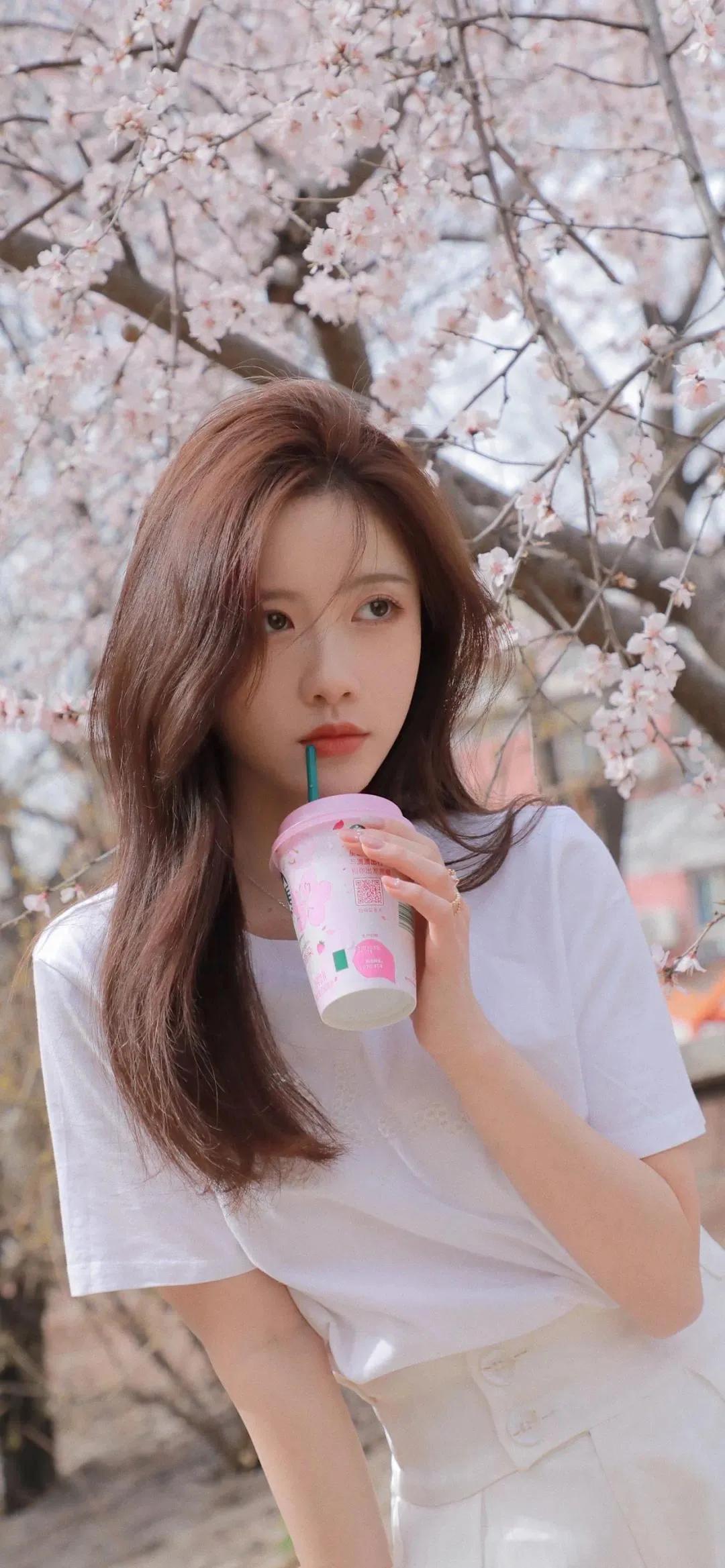 屏保高清手机壁纸唯美风景,屏保壁纸唯美高清烟花明亮