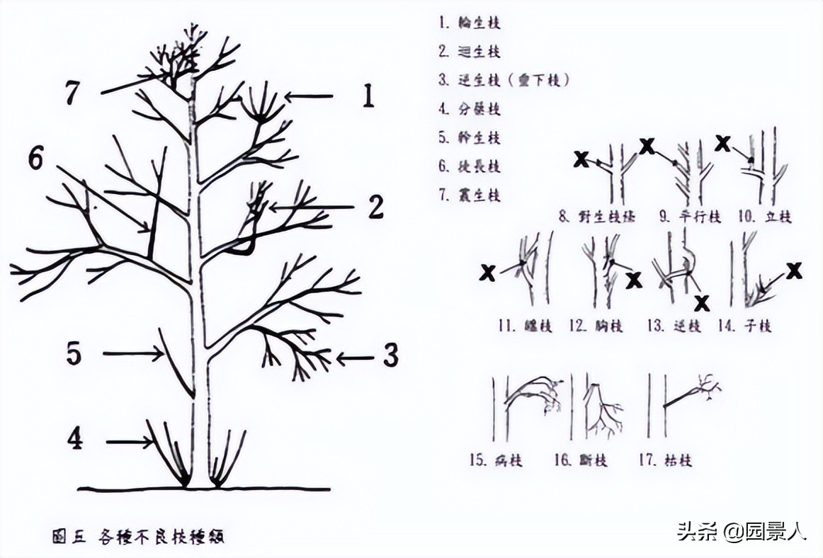 标杆房企园林景观工序,最新热销地产项目景观设计全解密