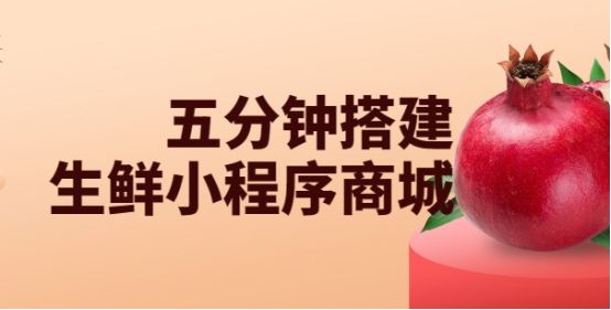 微信小程序开发生鲜店铺,微信小程序商城生鲜