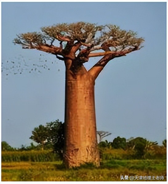 2022-2023年天津八下地理期中考试,天津2024年地理会考真题模拟卷