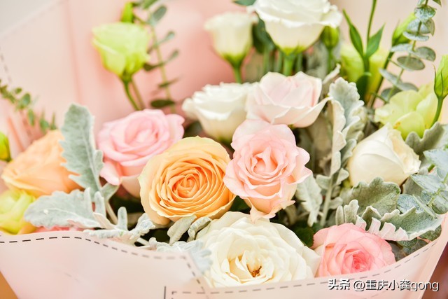 玫瑰花的葬礼,玫瑰花