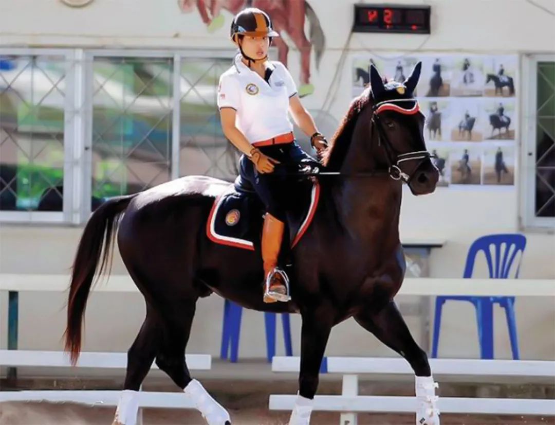 思蕊梵如期发布新年贺卡，一年比一年精致，“神兽公主”名不虚传