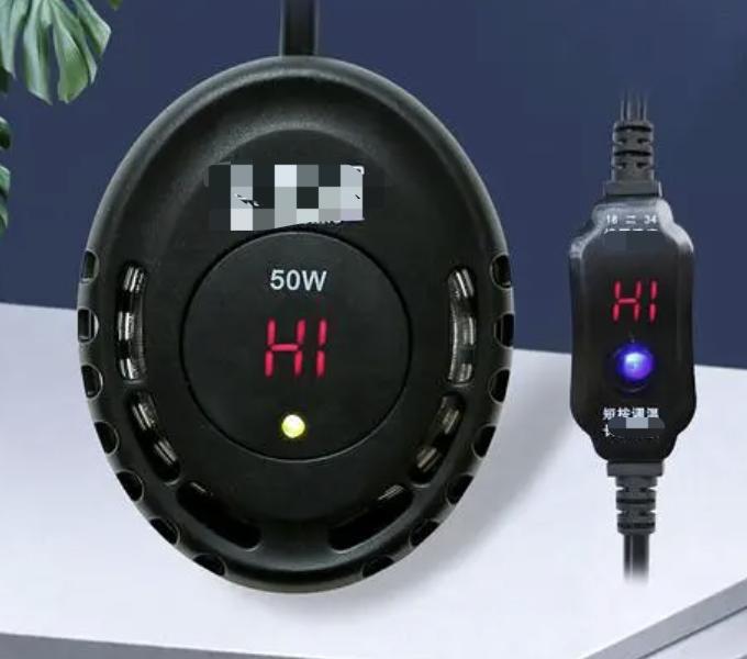 孔雀鱼的幼鱼饲养方法视频,如何饲养热带鱼孔雀鱼幼鱼