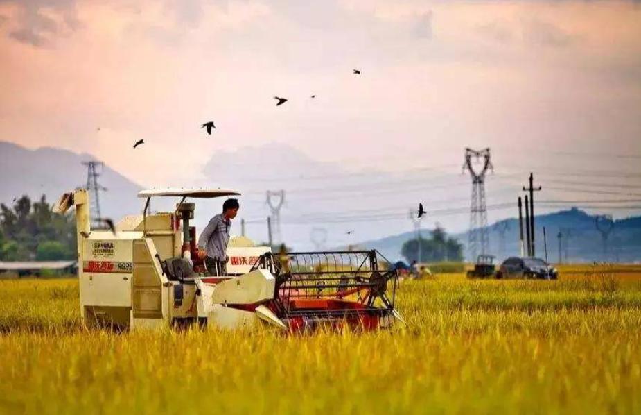 我国农村产业发展的现状及前景,农村产业发展存在的问题和对策