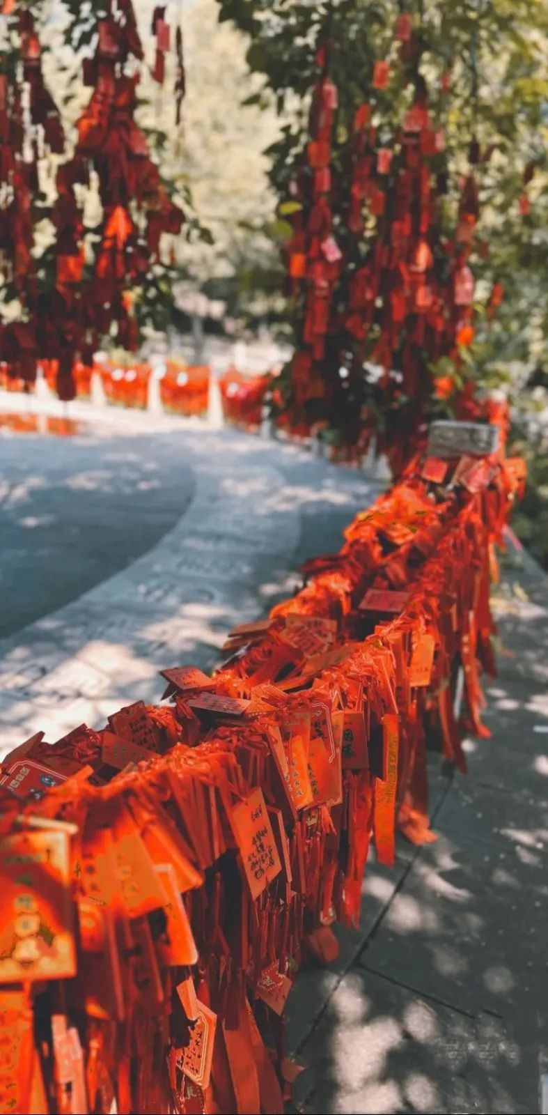 罗山一日游景点大全,信阳罗山一日游攻略