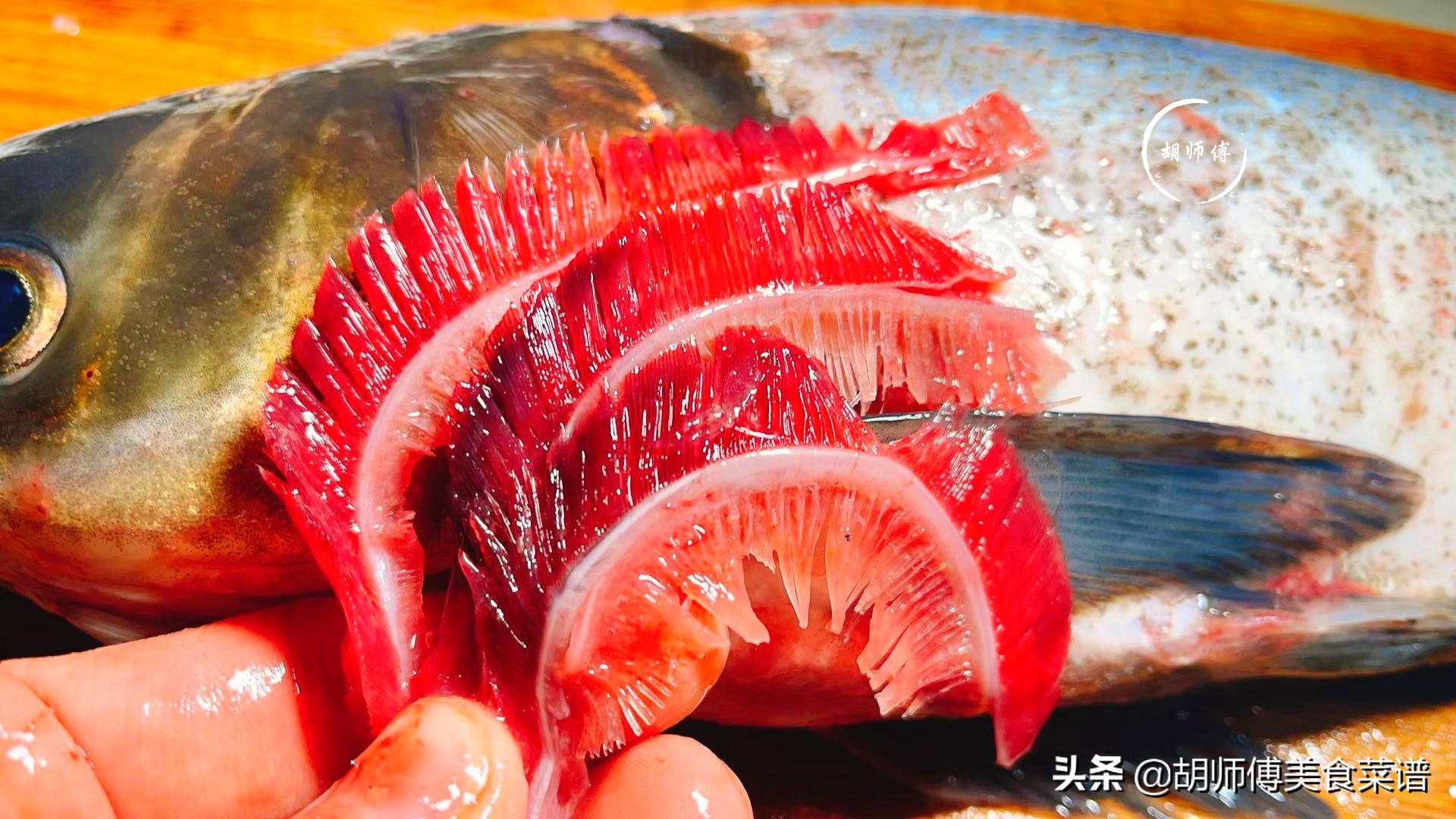 黑鱼去鱼线腥方法图解,鲈鱼去鱼线腥方法图解