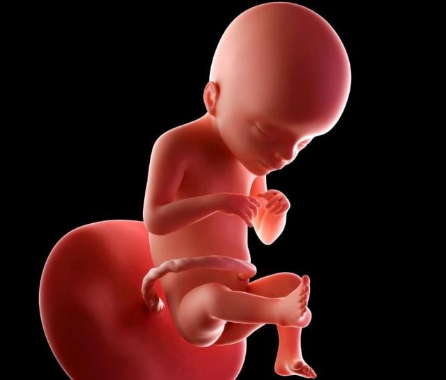 孕期花费清单大全,孕期囤货新手宝妈必备清单