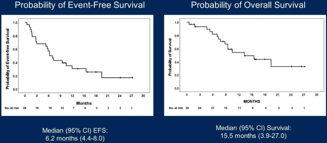 蒋葵教授点评EndoBARR：非化疗三联方案“出击”复发性子宫内膜癌