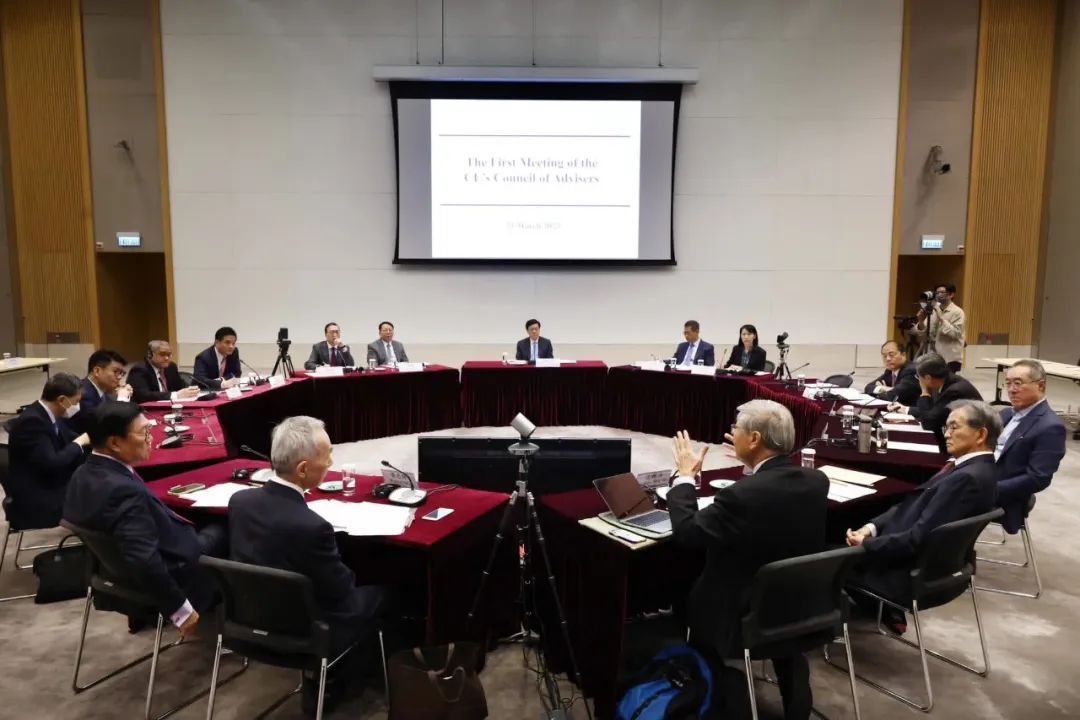 香港特首选举委员会顾问团,香港特区政府特首顾问团