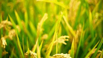 你不知道的中国内蒙古,你还不知道的内蒙古