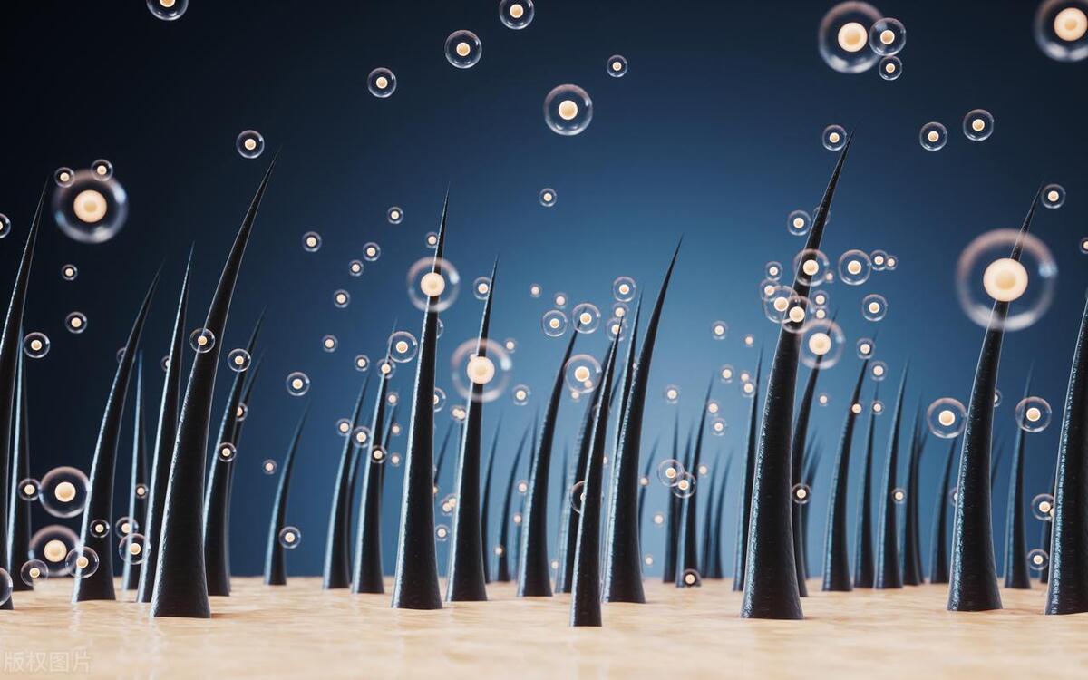 一个尴尬、羞羞的小问题：女性*处私**的毛发，应该被刮除吗？