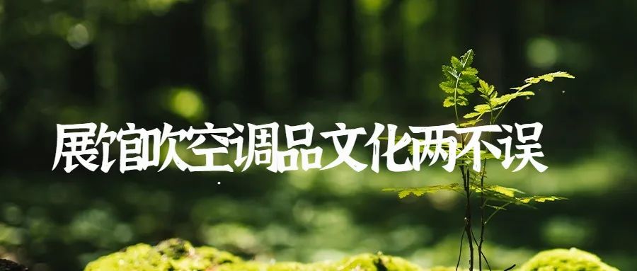 暑假我们来到了中国闻名的鼓浪屿,鼓浪屿暑假免费游玩攻略