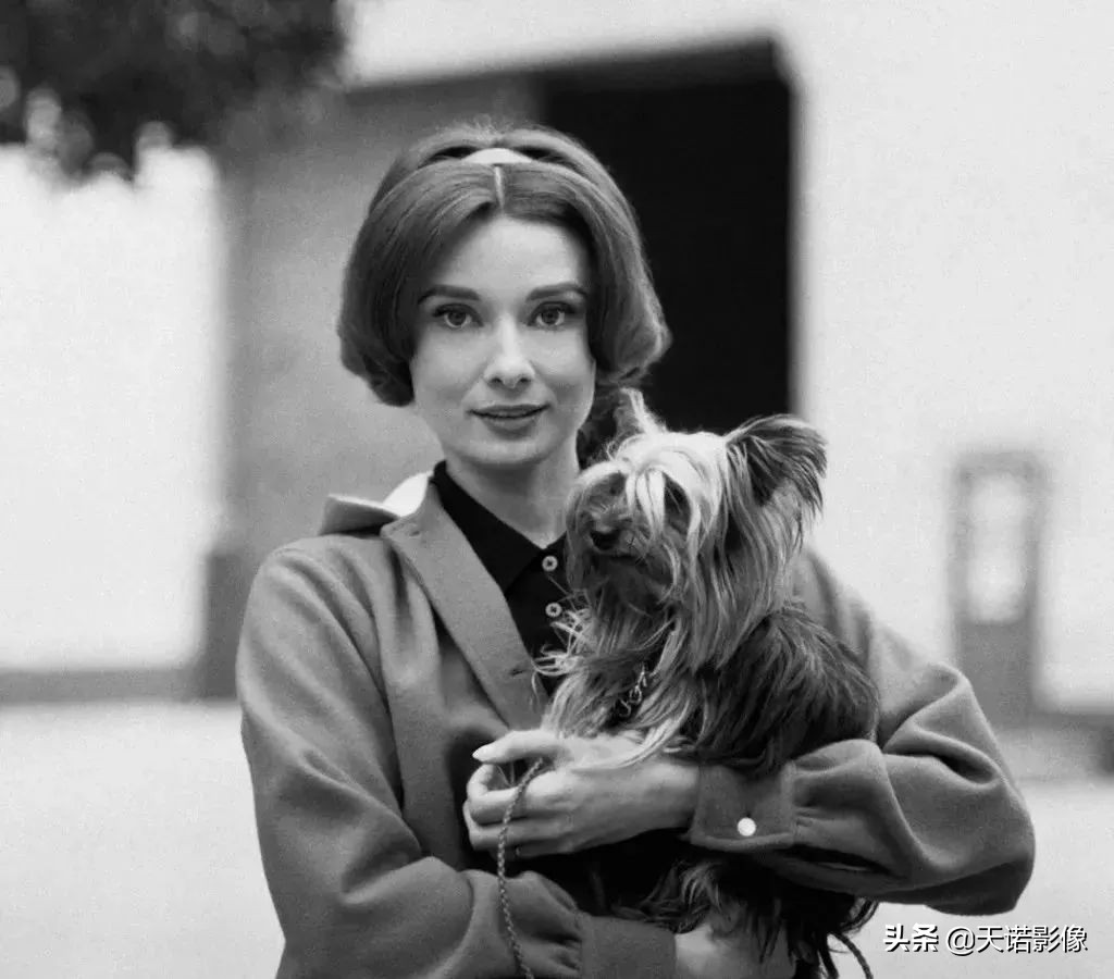 哈苏拍的人像有多高清,哈苏拍人有多清晰