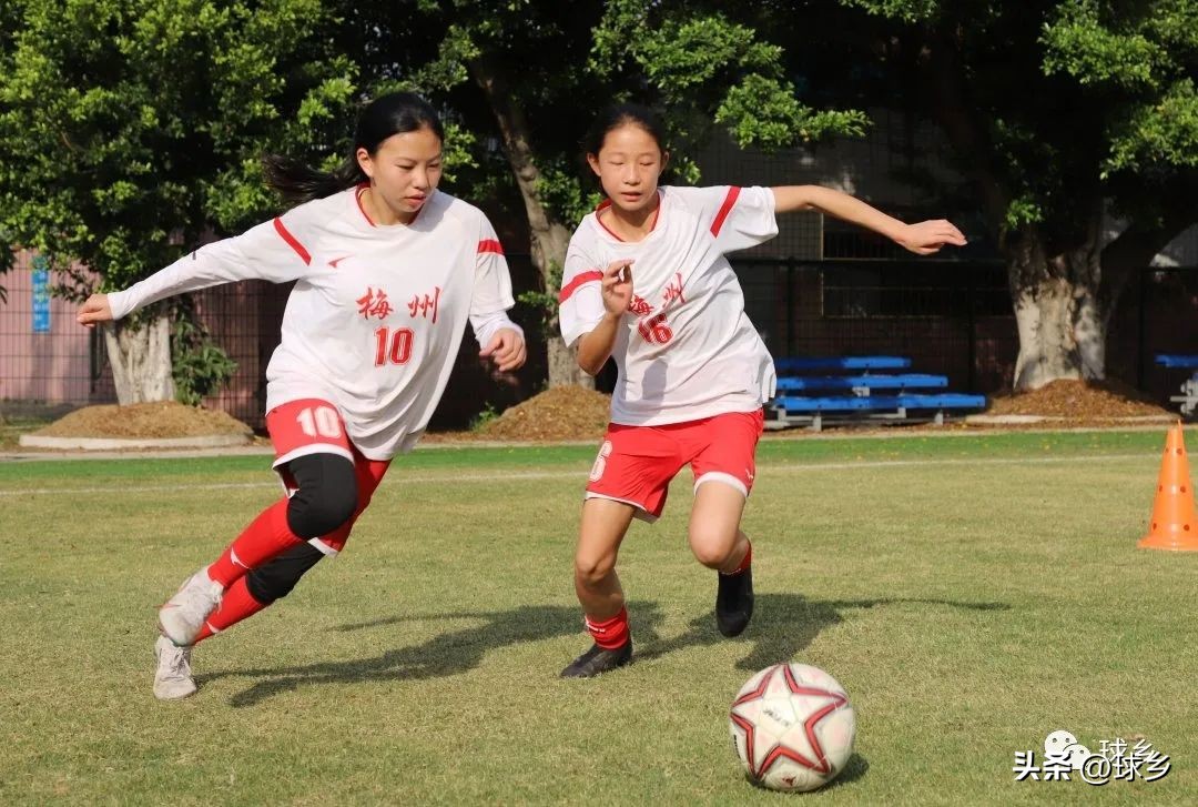 踔厉奋发新起航,踔厉奋发开新局奋楫笃行谱新篇