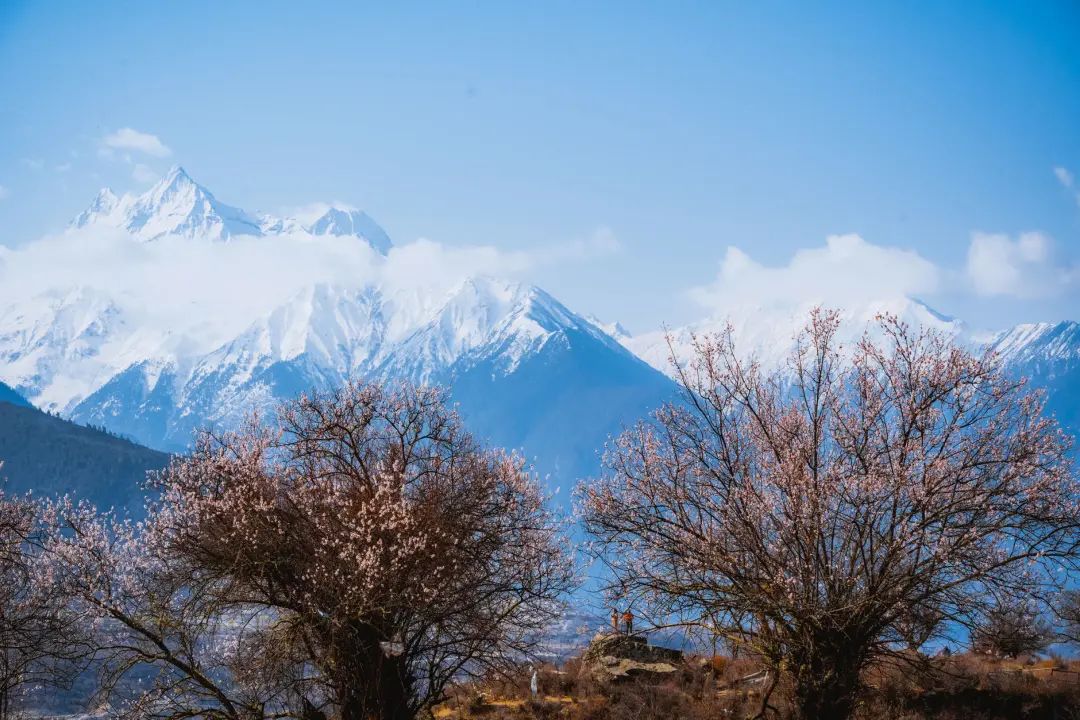 龙泉山看桃花徒步最佳路线,徒步穿越十里桃花漫山遍野