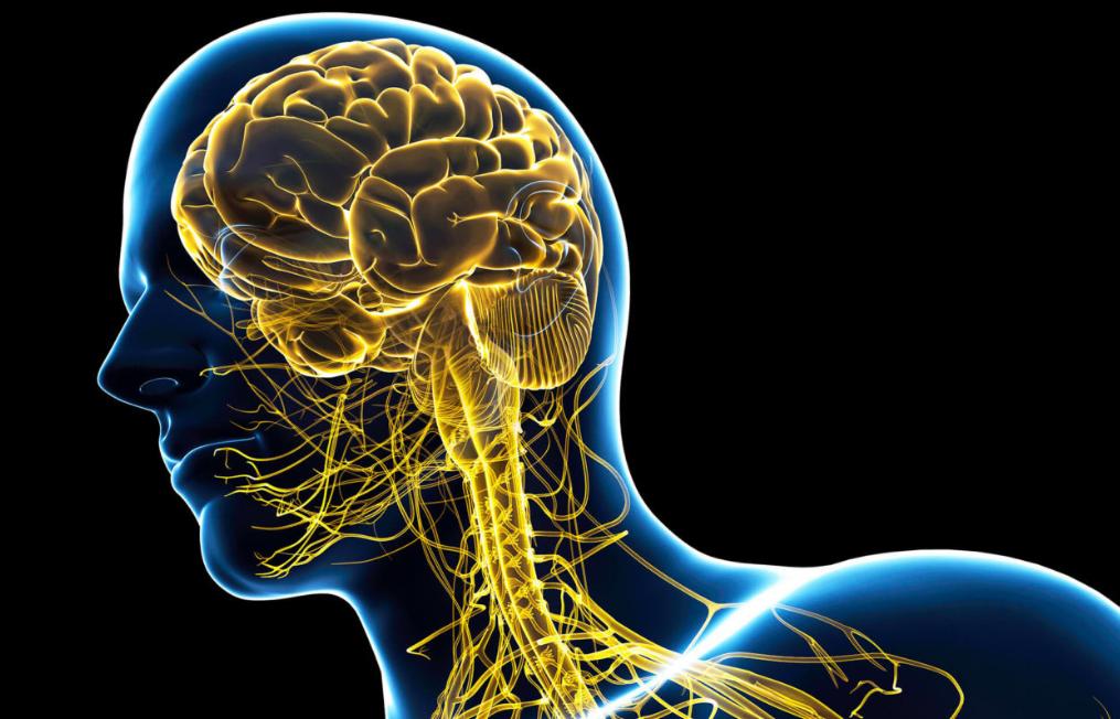 性猝死听说过吗？医生提醒：3种情况不建议“为爱鼓掌”，危害大