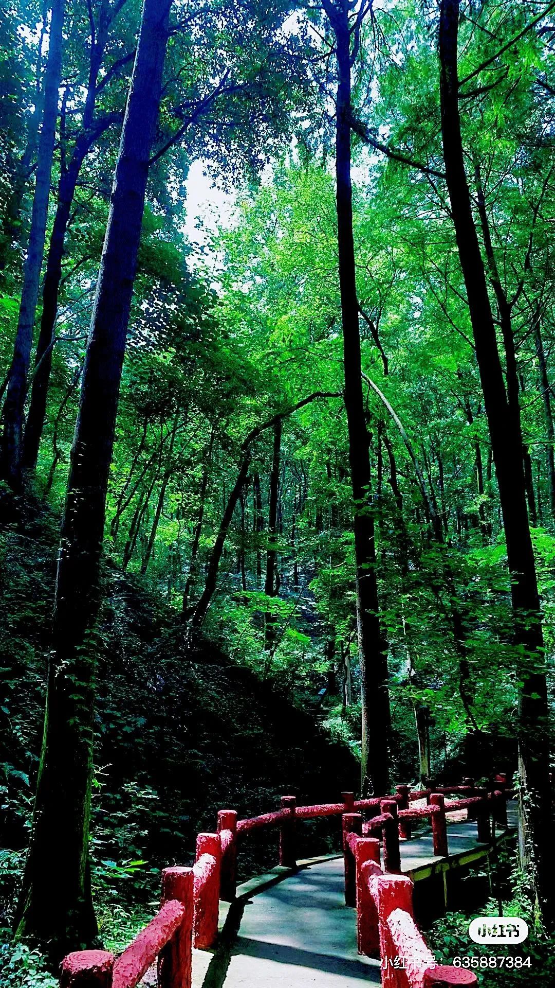信阳南湾湖一日游详细攻略,信阳三日游攻略