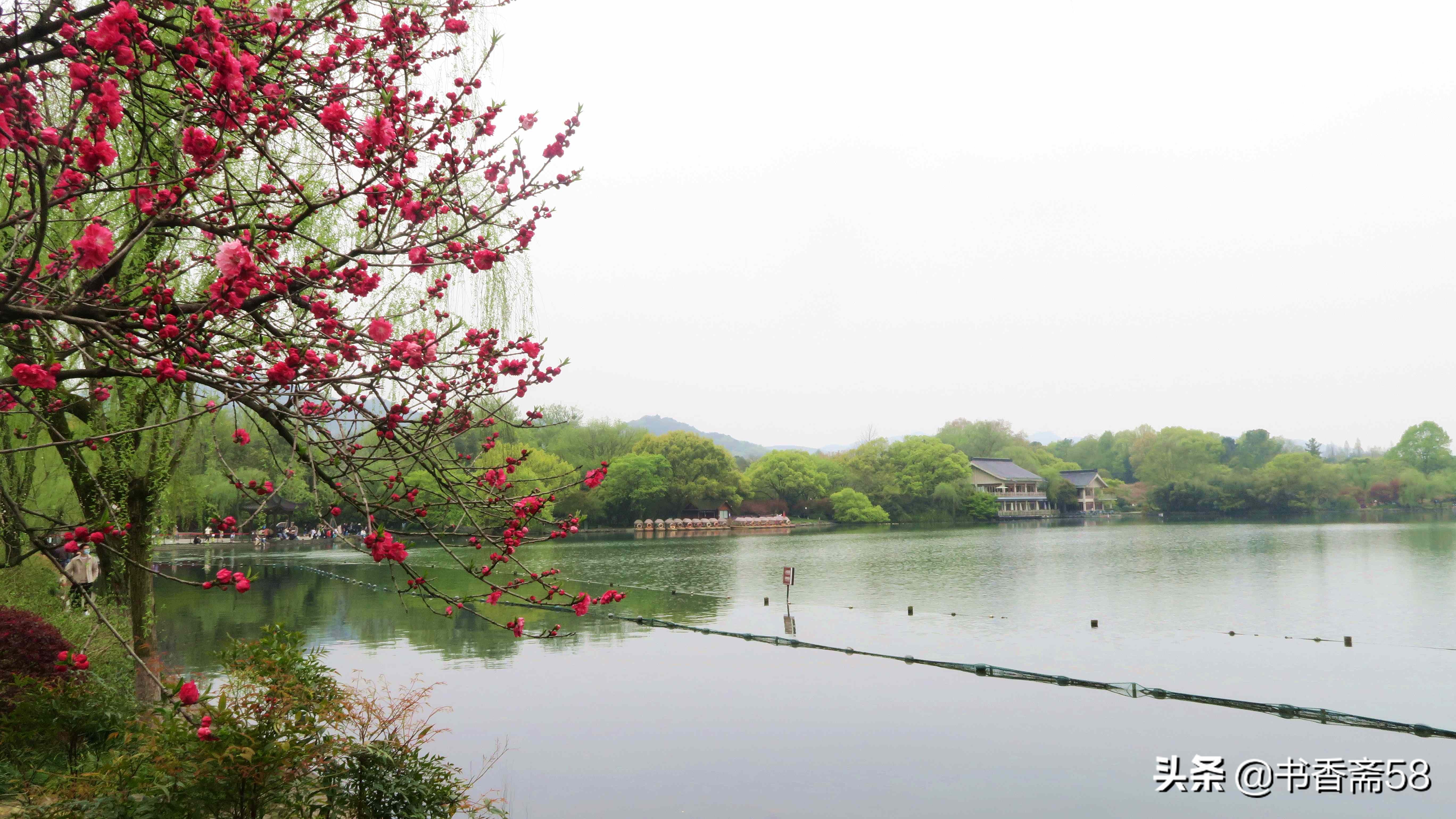 游玩西湖最佳线路攻略,西湖游览公交车路线