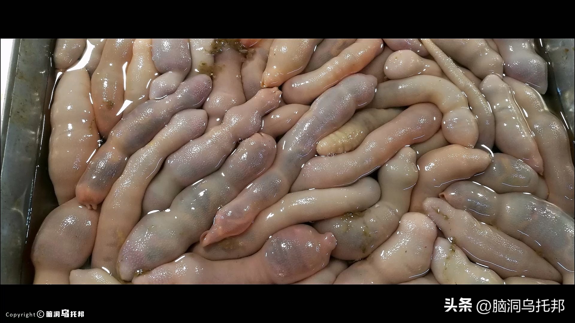 海天酱油添加剂辛吉飞,海天酱油添加剂是什么