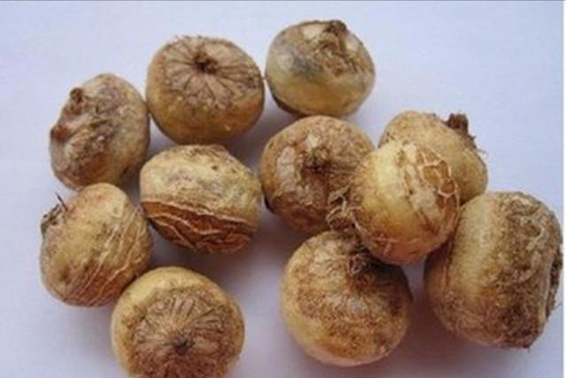 孙思邈治乳腺结节特效中药,孙思邈怎么治囊肿