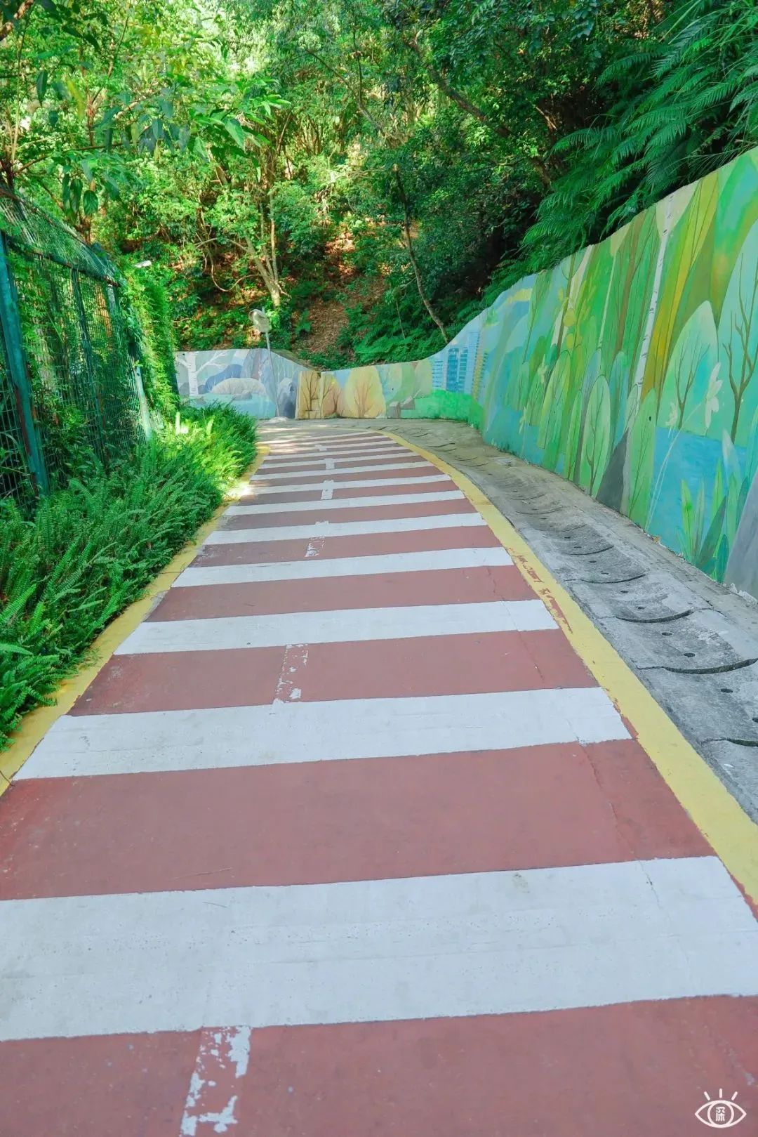 深圳十条景美徒步路线推荐,深圳水库徒步路线图