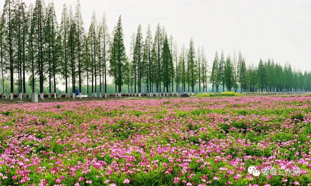 泰州姜堰出发自驾1日游好去处攻略推荐