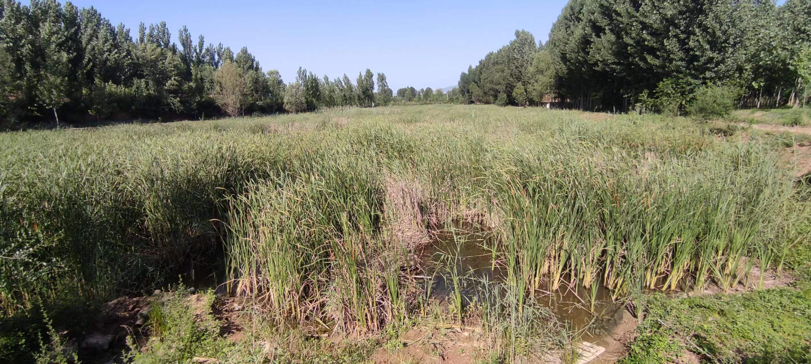 古中国考出彭蠡泽｜张笔魁