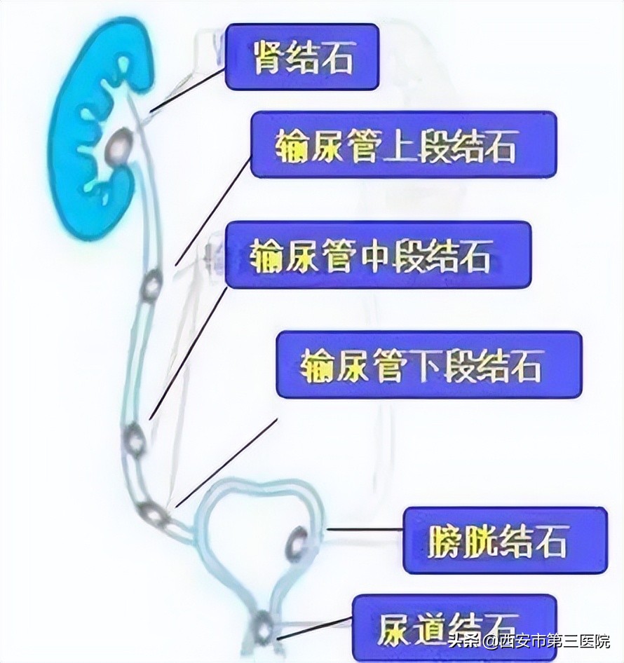 高温红色预警暴雨预警,高温红色预警和暴雨蓝色预警四川