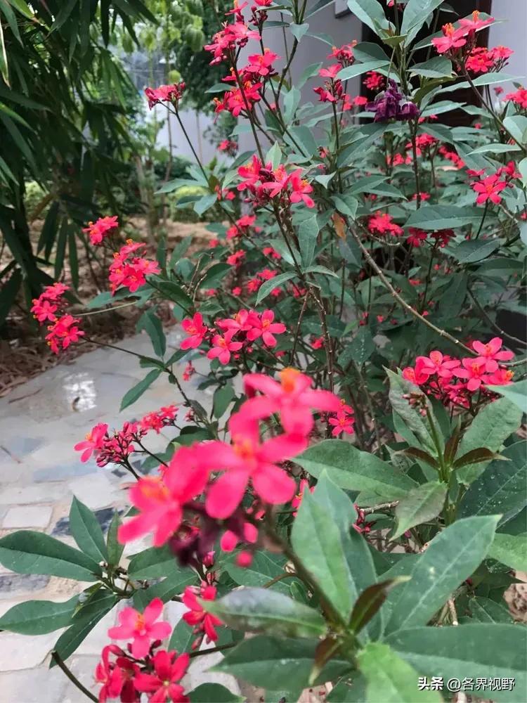 榆林生态旅游,榆林市牛家梁瑞丰生态园游泳池