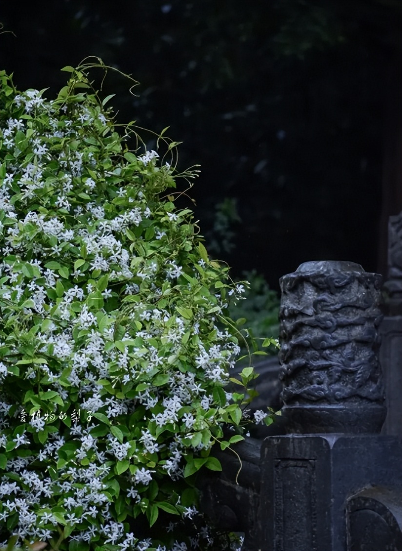 疠疫千家净炎蒸一夕空,那些描写夏天雨的诗词,凉爽了整个夏天