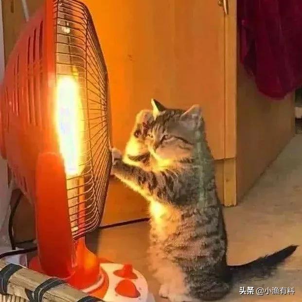 冬天手脚冰凉只需一招,冬天容易手脚冰凉是怎么回事