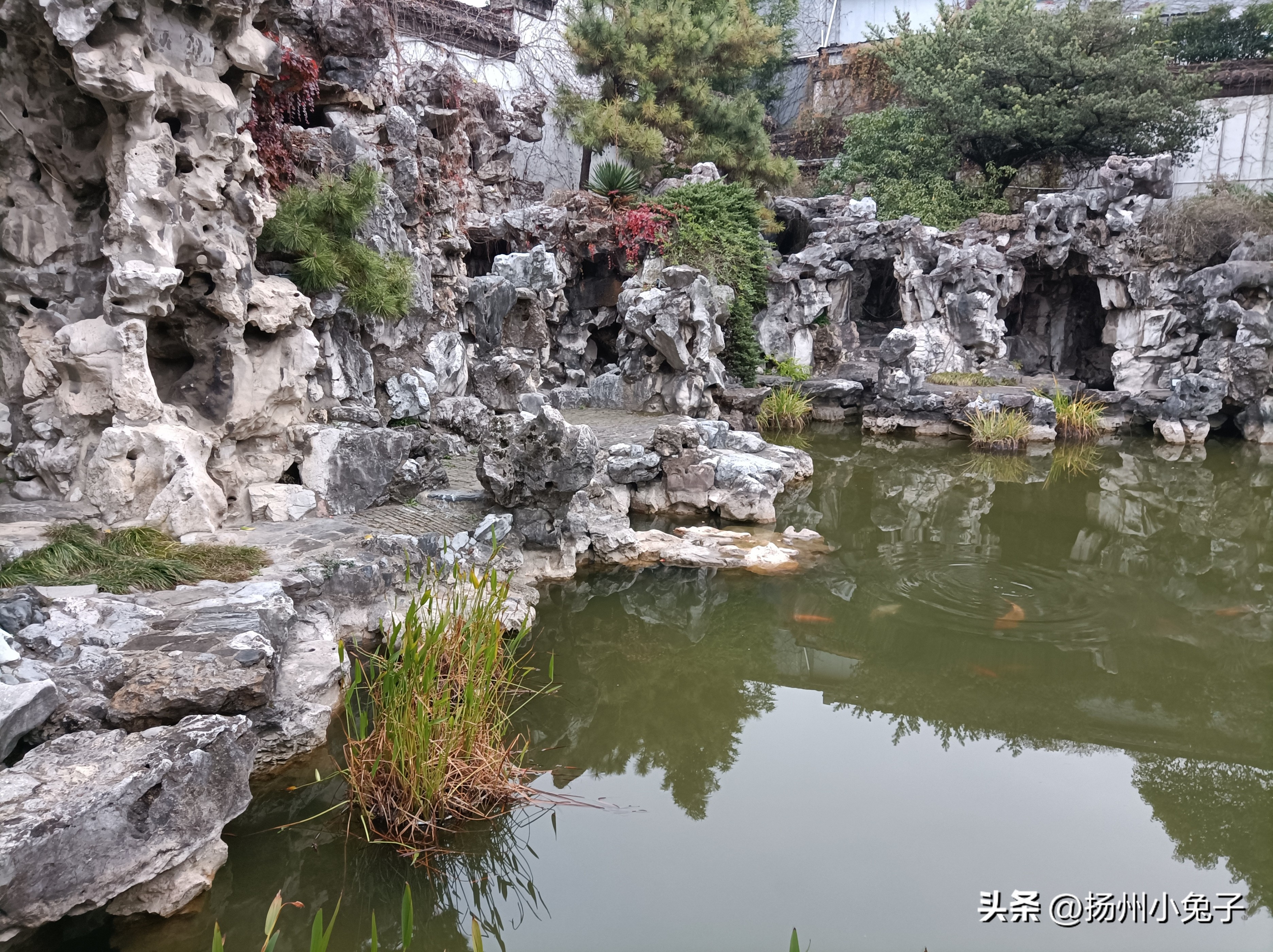 水晶城里学知识，别有洞天