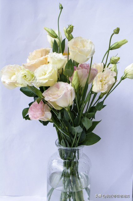 新房不给亲戚住有错吗,新房不想让亲戚住