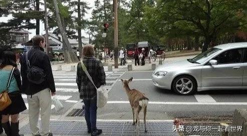 外国人亲身经历的奇怪的事情,出国旅游的人真实感受