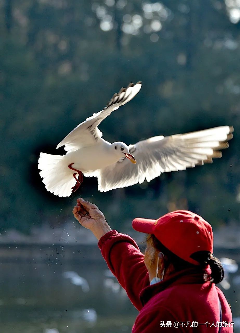 等疫情结束的优美句子,等疫情结束你最想做什么