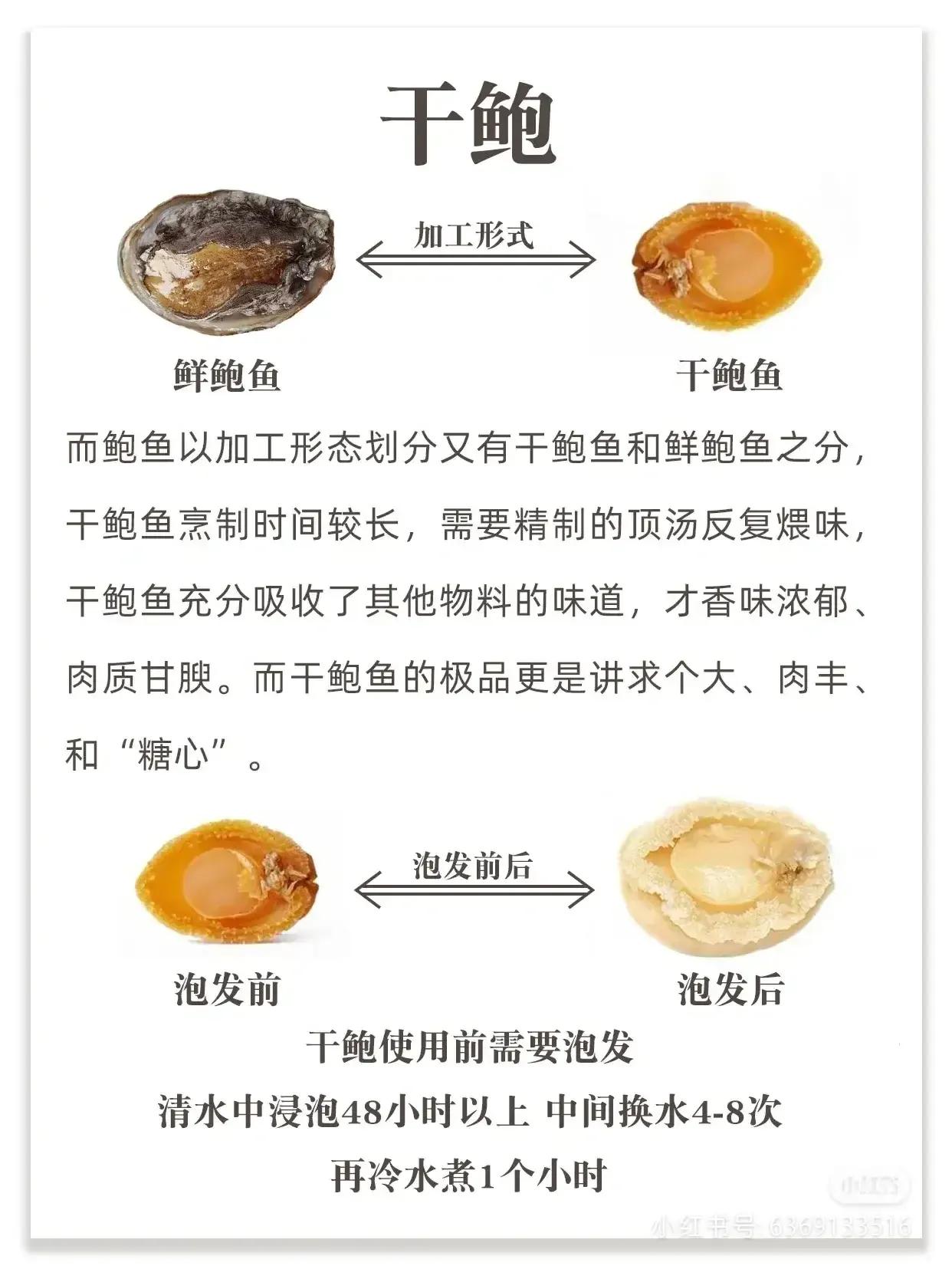 鲍鱼很多种不认识？教你它们的区别和口感，以及吃法