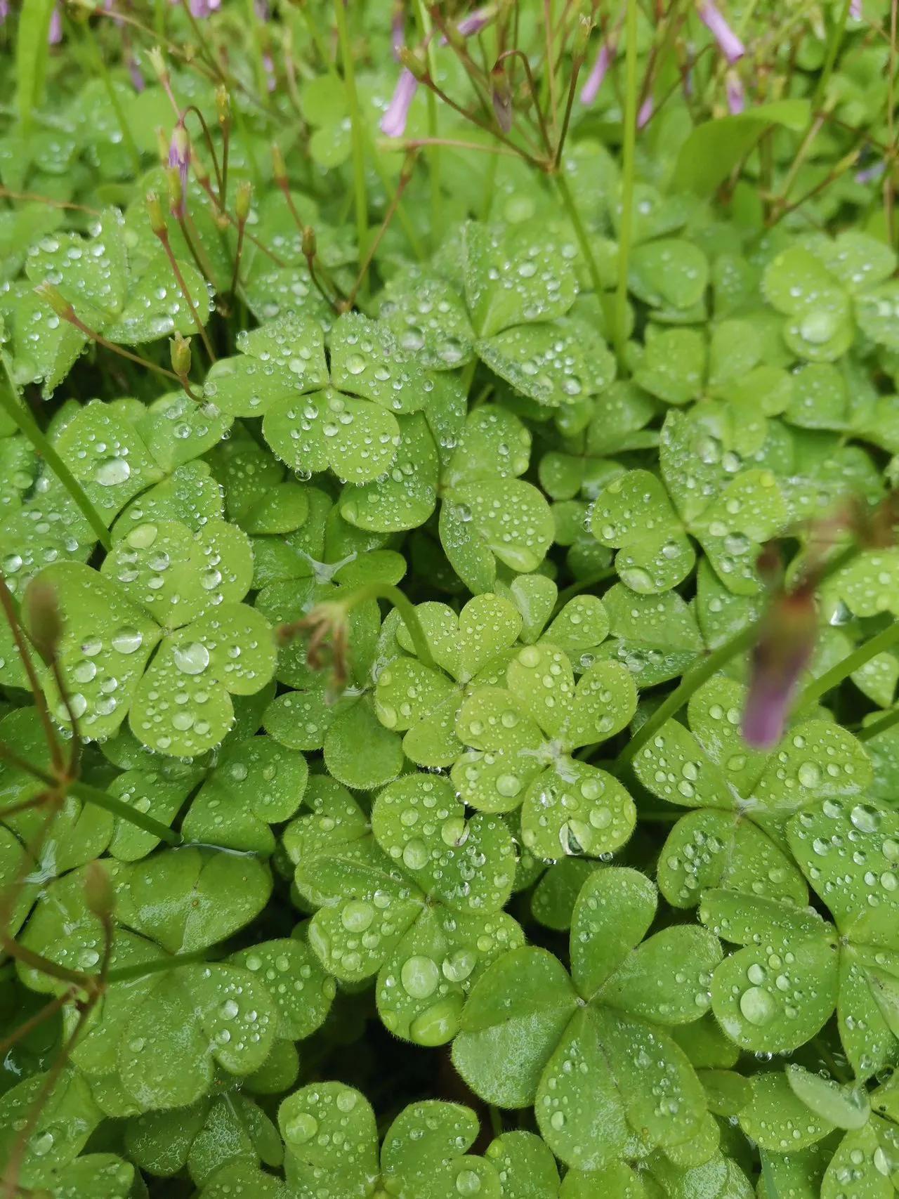 工业互联网大赛,工业互联网平台