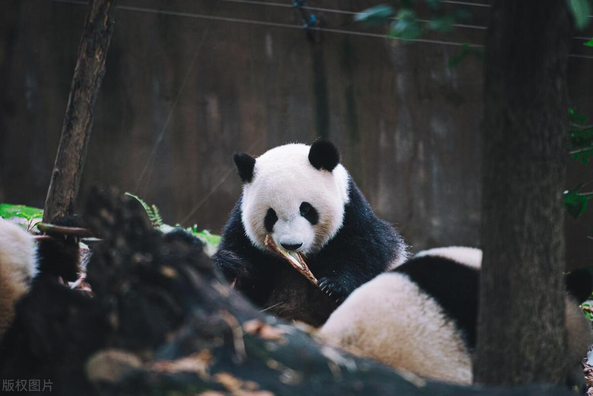 暑假旅游胜地亲子,暑假亲子好去处景点推荐