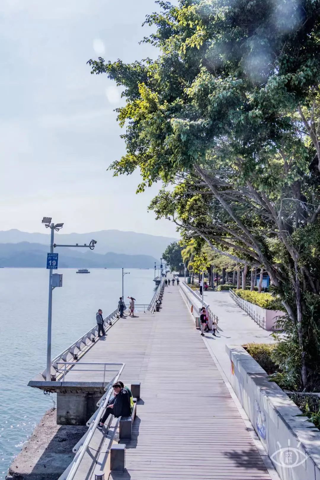 周末来深圳这10个地方免费玩,深圳周末去哪玩免费的地方