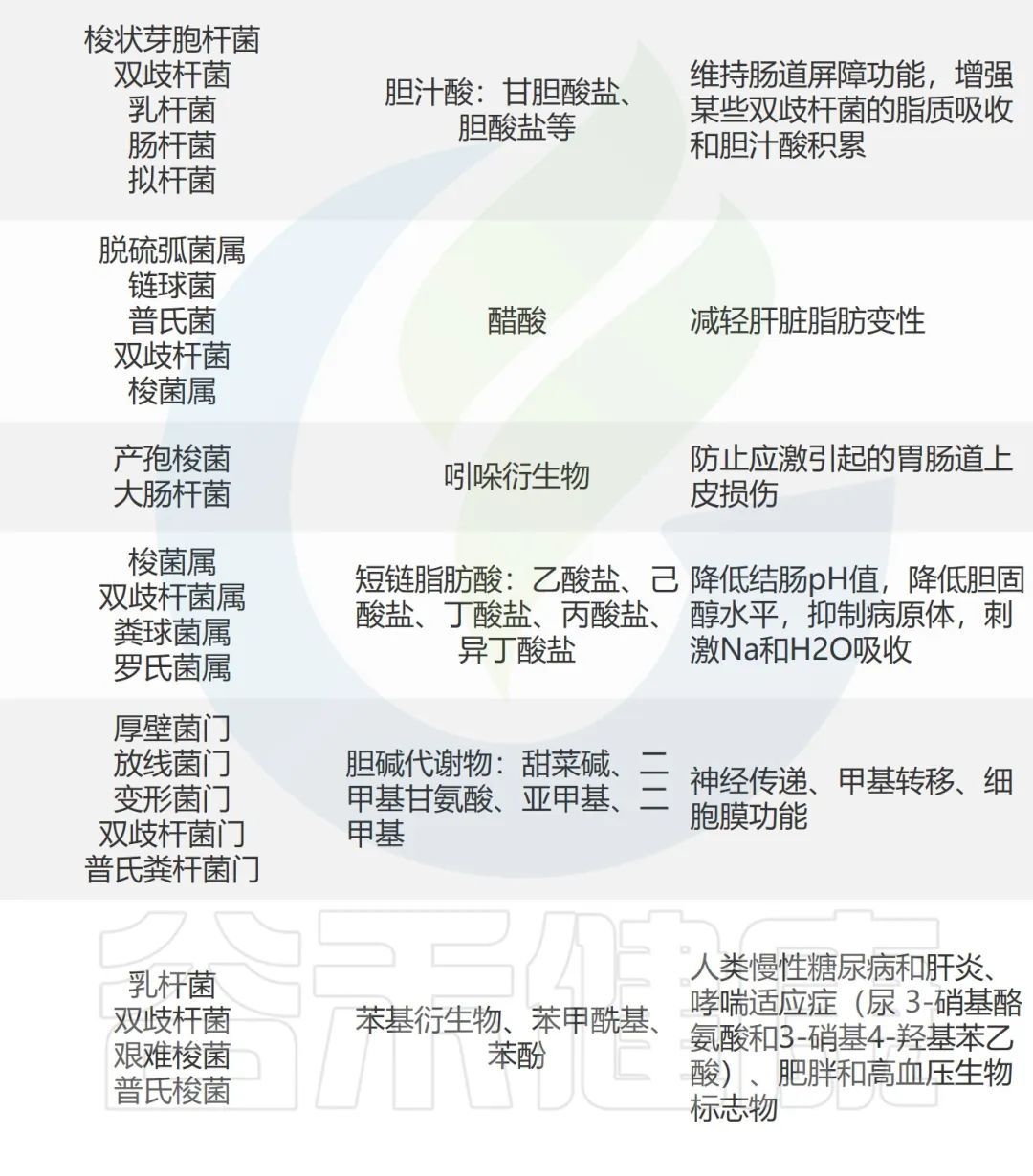 人体微生物分布于哪些位置,与人体共生的微生物