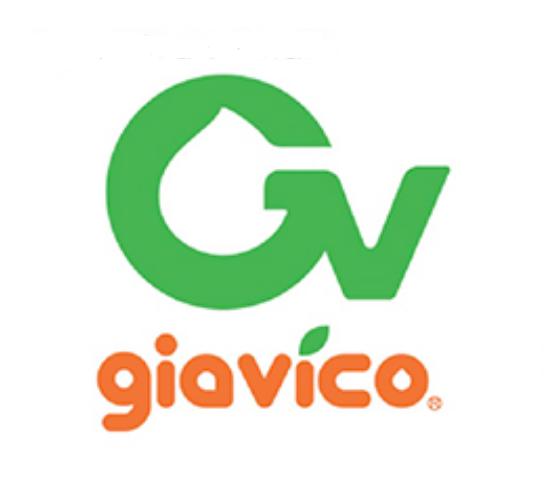 越南五大巨头,越南前十大企业