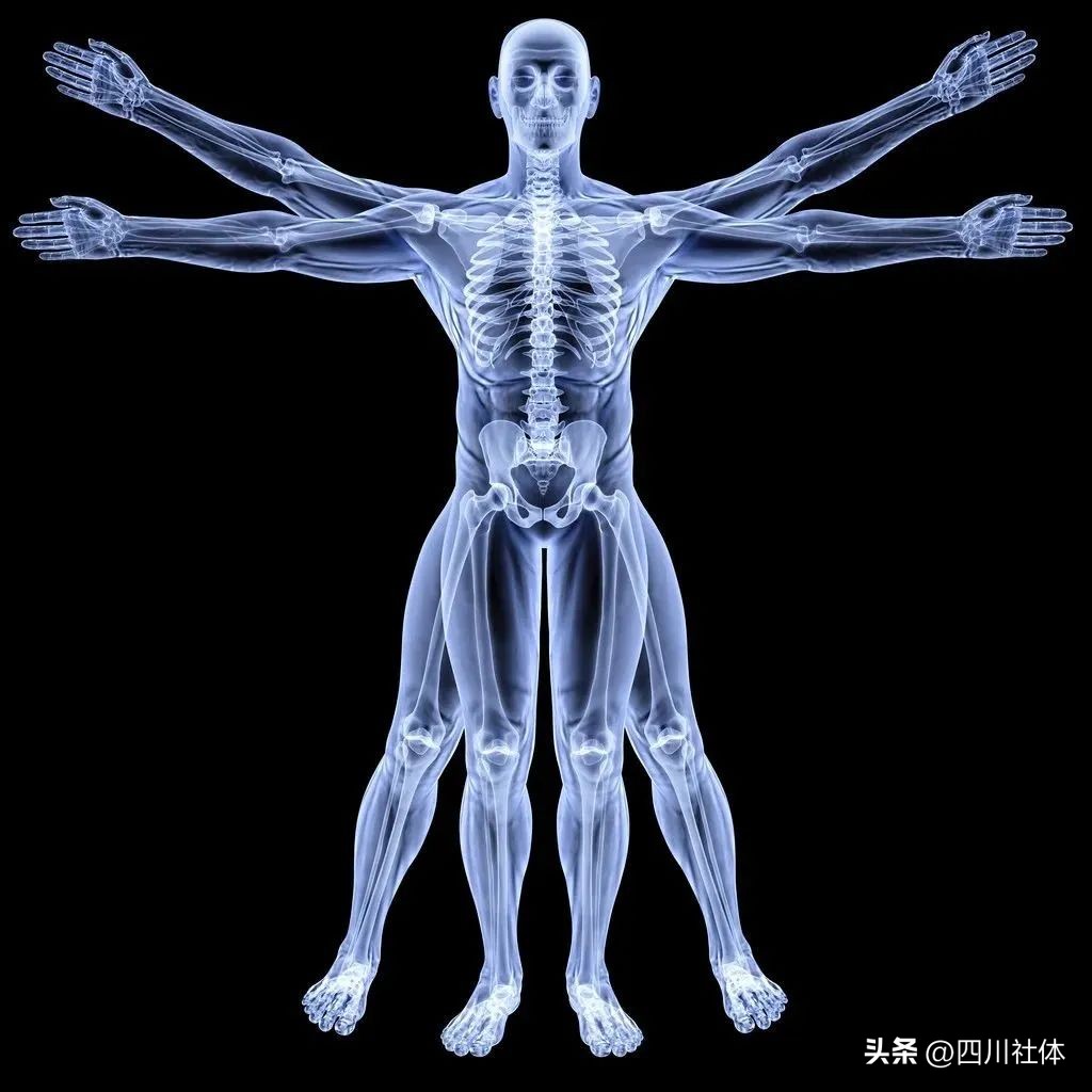 不练肌肉也都比很多人强,你不练肌肉怎么知道自己不行