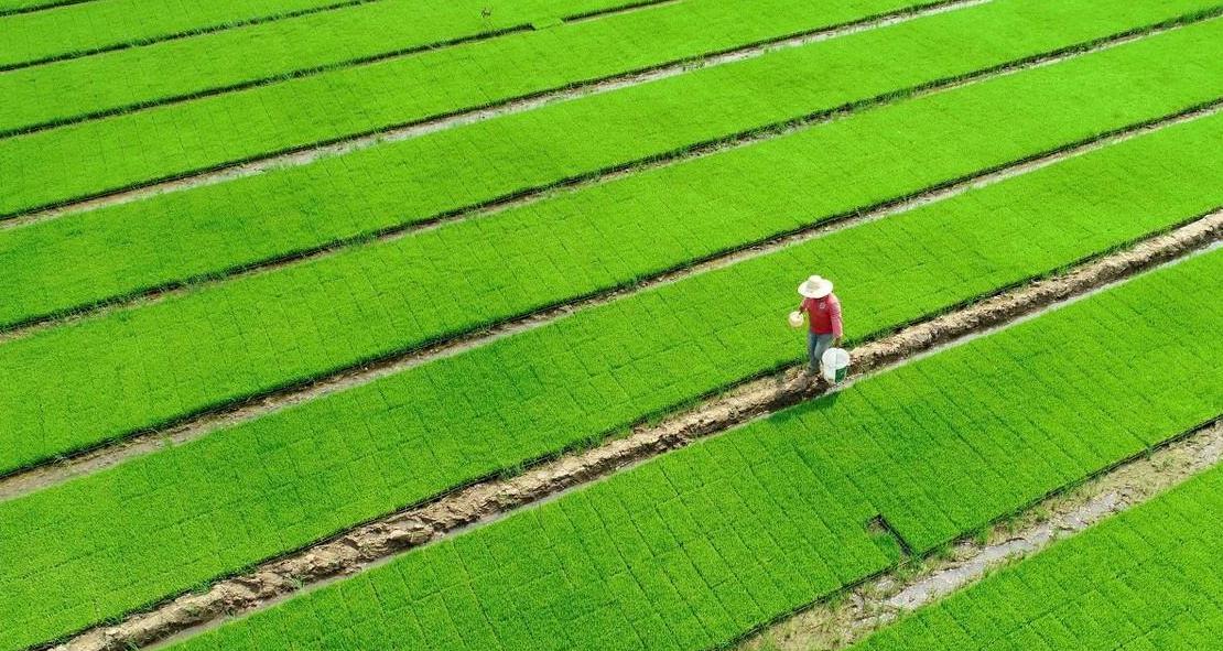 冷门零成本的创业门路生意,十大冷门暴利商机小额创业