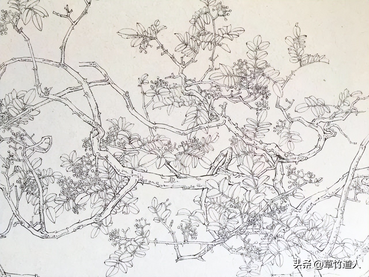 绘画艺术形象及其审美意义,中国绘画的审美特点4字