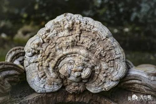 廿四节气纪录片秋分,廿四节气之立夏