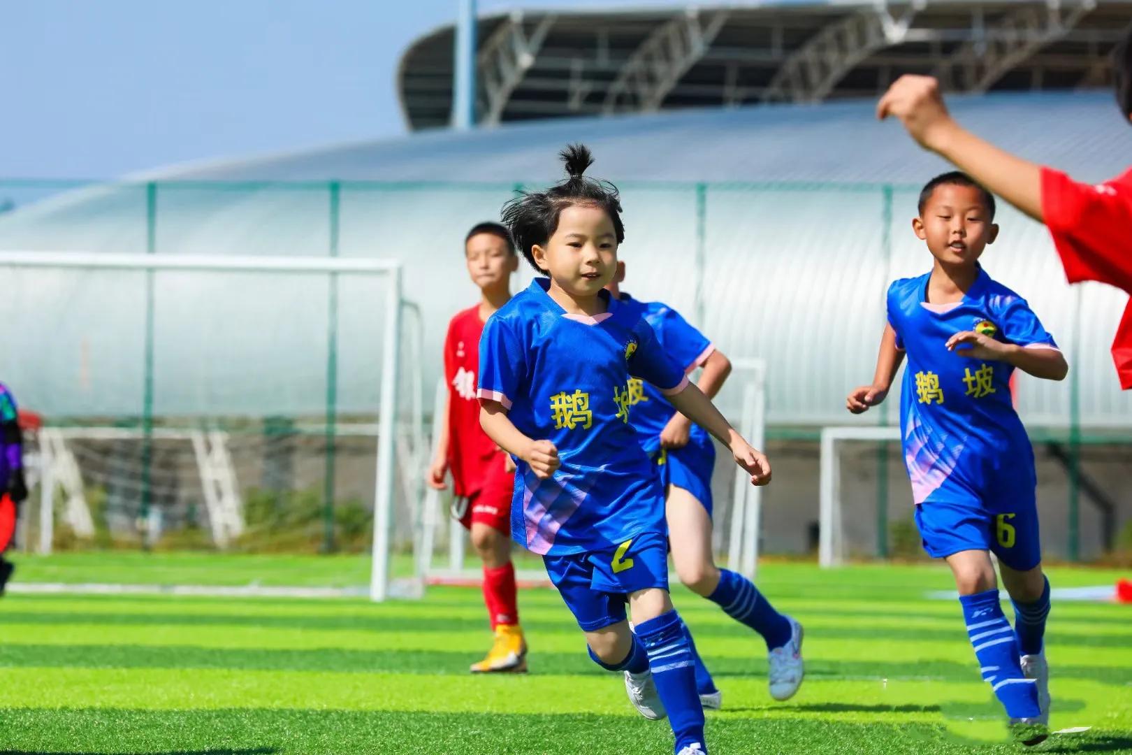 浙江足球改革最新消息,足球改革的重要意义