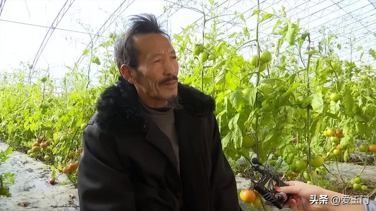 向新而行最新视频,向心而行迎光出发