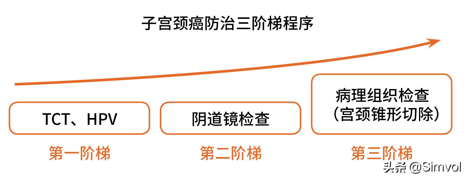 光学显微镜观察血液全流程,光学显微镜滤色镜