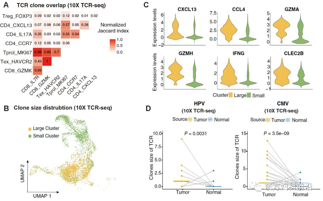 科研进展|北院妇科课题组在EMBOJ发表高水平文章