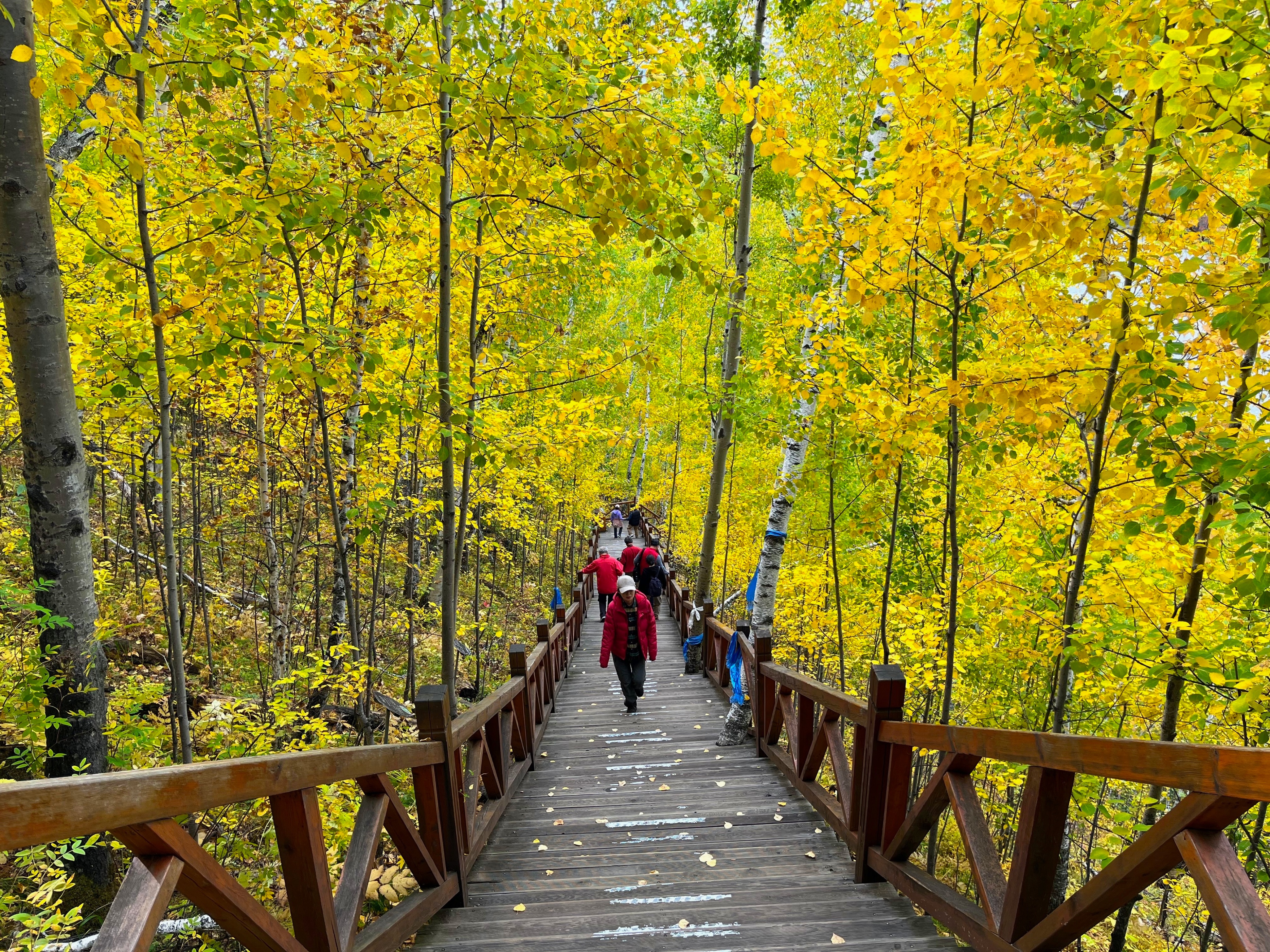 夫妻自驾11000公里,夫妻两人自驾游最新视频